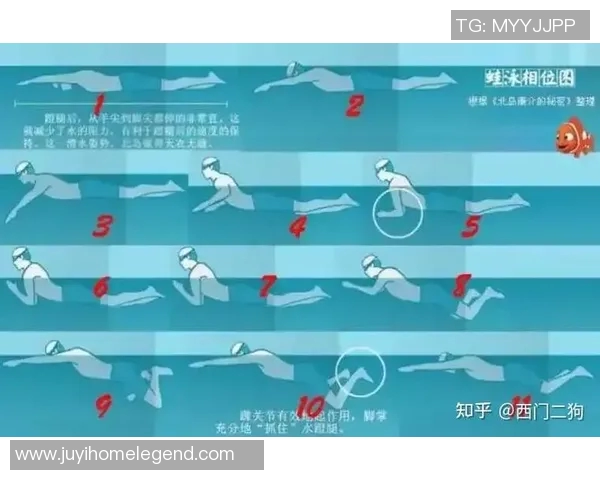 自由泳呼吸技巧全面解析提升游泳表现的关键要素与训练方法