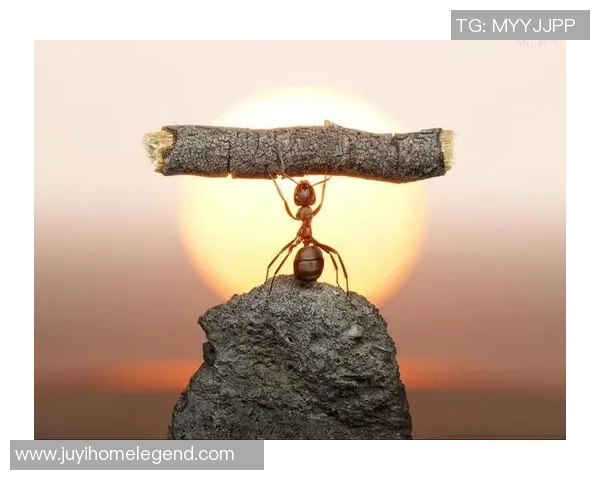 古代足球明星蚂蚁的传奇故事与历史影响探秘